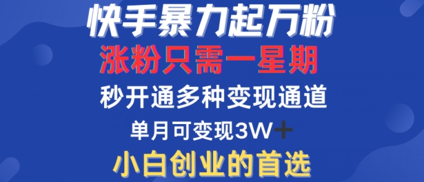 快手暴力起万粉，涨粉只需一星期，多种变现模式，直接秒开万合，单月变现过W【揭秘】-瀚宇网创