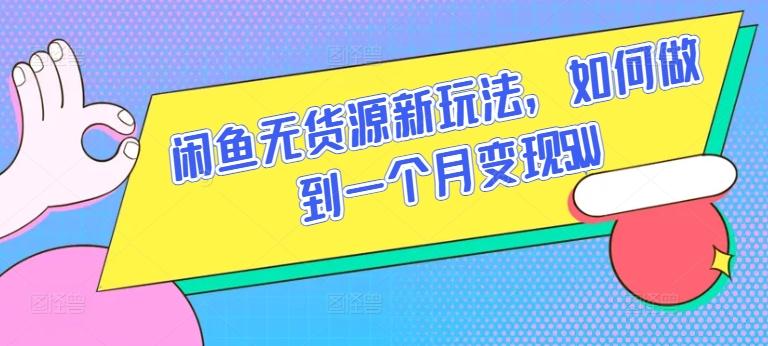 闲鱼无货源新玩法，如何做到一个月变现5W【揭秘】-瀚宇网创