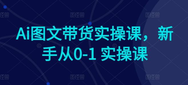 Ai图文带货实操课,新手从0-1 实操课-瀚宇网创