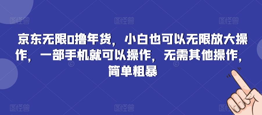 京东无限0撸年货，小白也可以无限放大操作，一部手机就可以操作，无需其他操作，简单粗暴-瀚宇网创