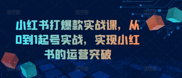 小红书打爆款实战课,从0到1起号实战,实现小红书的运营突破-瀚宇网创