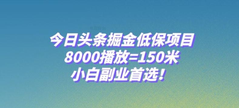 今日头条掘金低保项目，8000播放=150米，小白副业首选【揭秘】-瀚宇网创