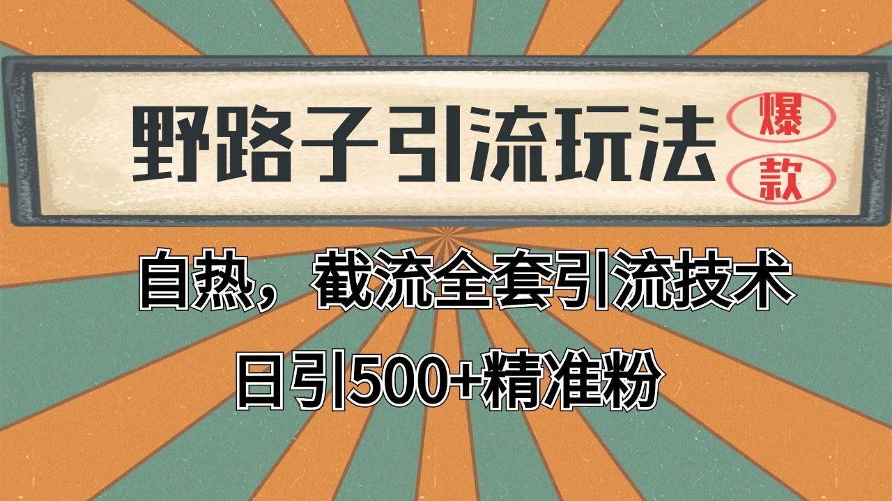 抖音小红书视频号全平台引流打法，全自动引流日引2000+精准客户-瀚宇网创