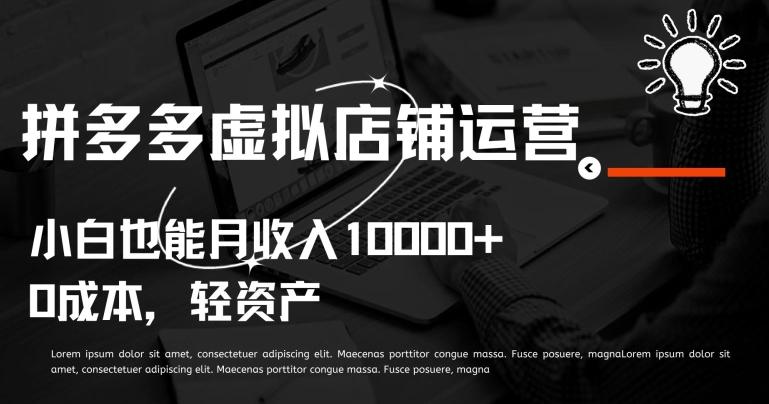 拼多多虚拟店铺运营小白也能月收入10000+【揭秘】-瀚宇网创