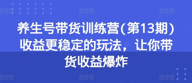 养生号带货训练营(第13期)收益更稳定的玩法，让你带货收益爆炸-瀚宇网创