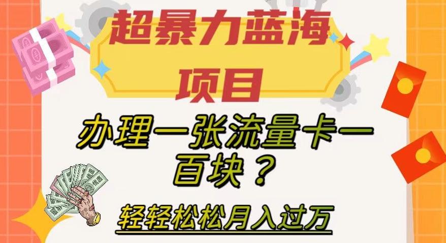 超暴力蓝海项目，办理一张流量卡一百块？轻轻松松月入过万，保姆级教程【揭秘】-瀚宇网创