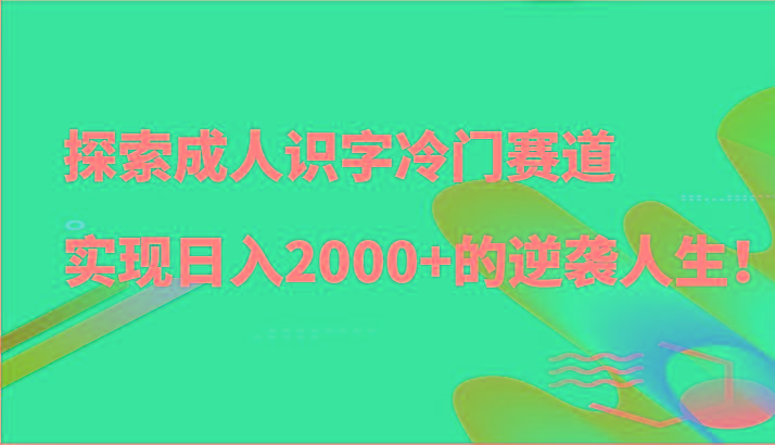 探索成人识字冷门赛道,实现日入2000+的逆袭人生!-瀚宇网创