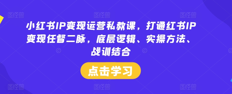 小红书IP变现运营私教课，打通红书IP变现任督二脉，底层逻辑、实操方法、战训结合-瀚宇网创