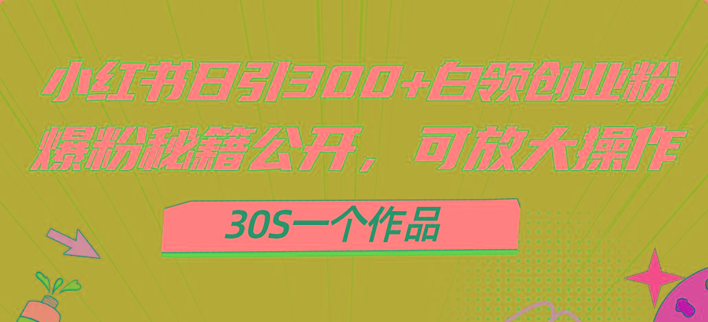 小红书日引300+高质白领创业粉,可放大操作,爆粉秘籍!30s一个作品-瀚宇网创