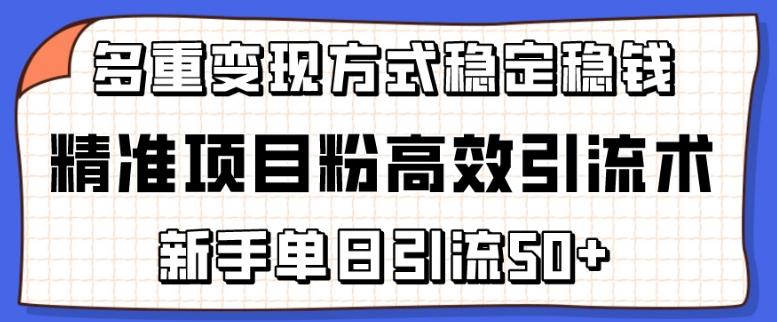 精准项目粉高效引流术，新手单日引流50+，多重变现方式稳定赚钱【揭秘】-瀚宇网创