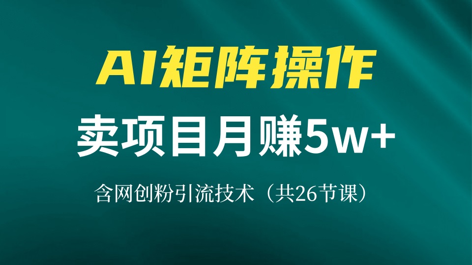 网创IP打造课，借助AI卖项目月赚5万+，含引流技术(共26节课-瀚宇网创