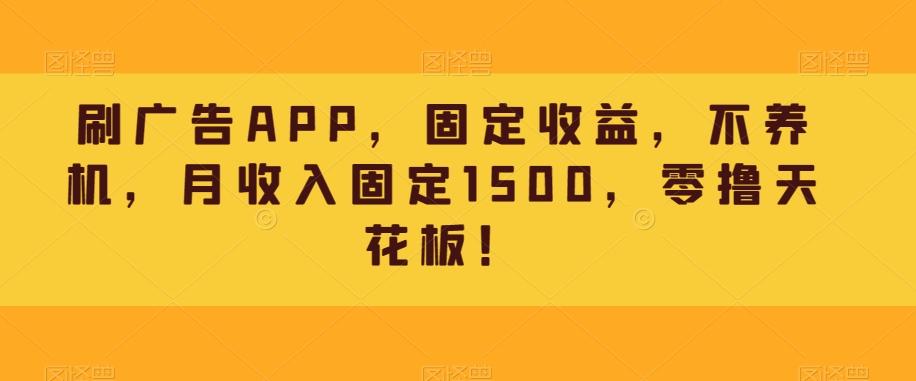 刷广告APP，固定收益，不养机，月收入固定1500，零撸天花板！-瀚宇网创