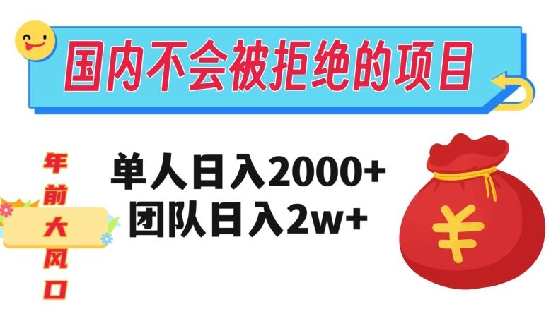 在国内不怕被拒绝的项目，单人日入2000，团队日入20000+【揭秘】-瀚宇网创