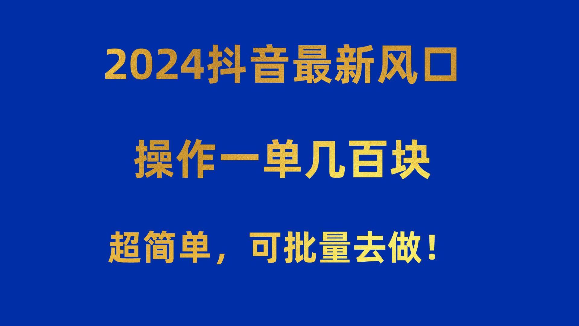 2024抖音最新风口！操作一单几百块！超简单，可批量去做！！！-瀚宇网创