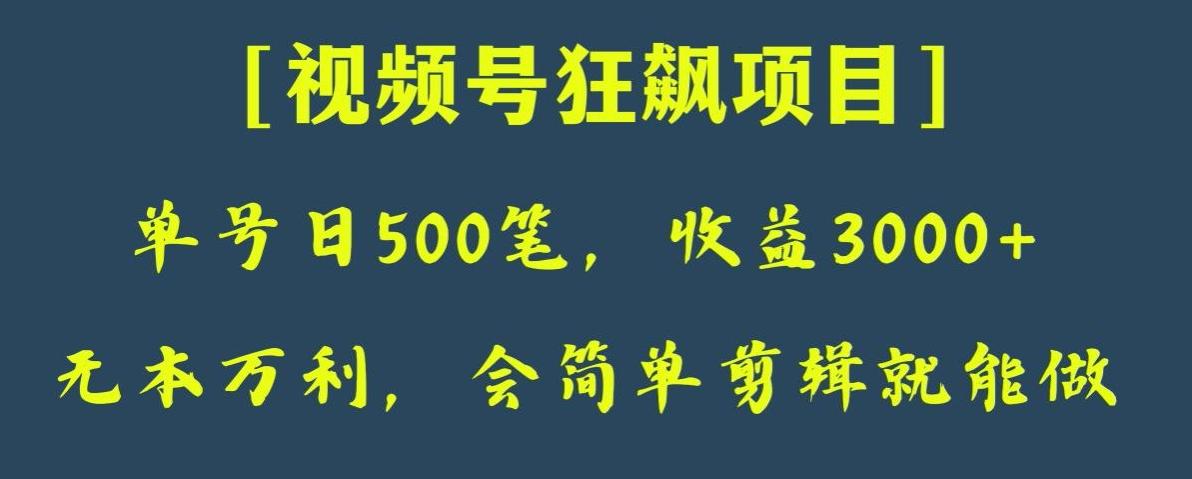 日收款500笔，纯利润3000+，视频号狂飙项目，会简单剪辑就能做【揭秘】-瀚宇网创