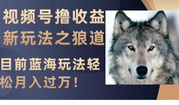 视频号撸收益新玩法之狼道，目前蓝海玩法，轻松月入过万【揭秘】-瀚宇网创