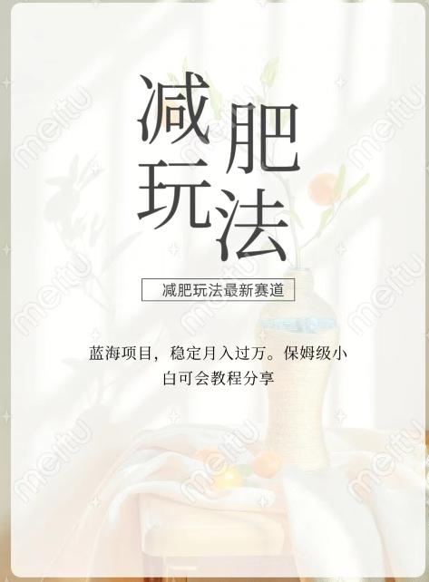 减肥流量主新玩法，轻松月入1W，可矩阵操作收入翻倍-瀚宇网创