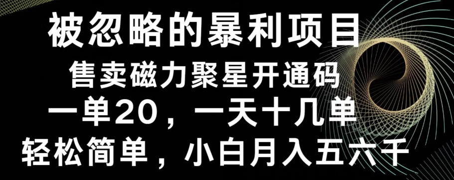 被忽略的暴利项目！售卖磁力聚星开通码，一单20，一天十几单，轻松月入五六千-瀚宇网创