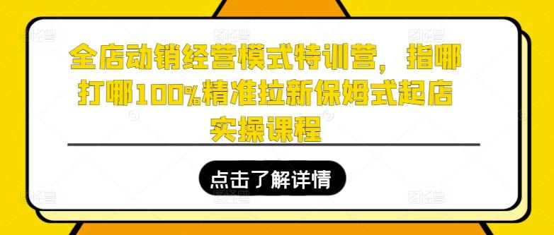 全店动销经营模式特训营，指哪打哪100%精准拉新保姆式起店实操课程-瀚宇网创