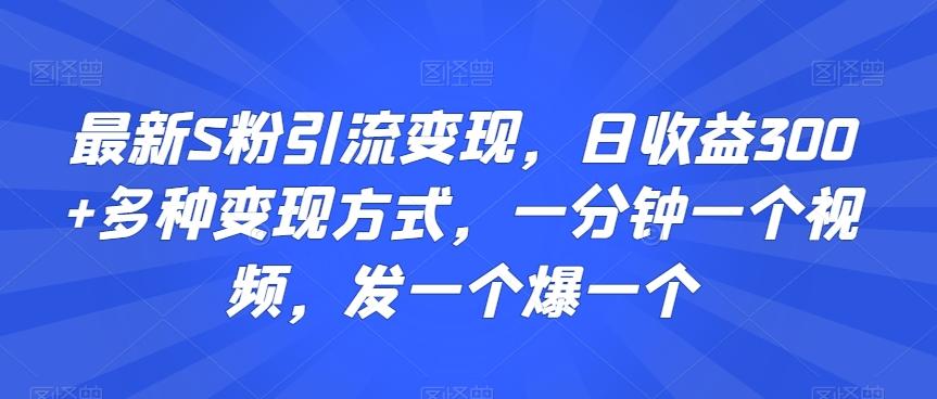 最新S粉引流变现，日收益300+多种变现方式，一分钟一个视频，发一个爆一个【揭秘】-瀚宇网创
