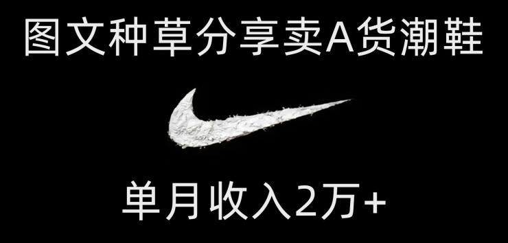 靠图文种草分享卖A货潮鞋，每天一小时，单月收入2万+【揭秘】-瀚宇网创