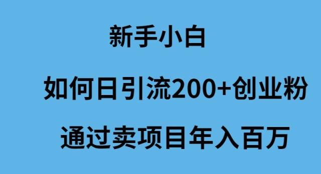 (9668期)新手小白如何日引流200+创业粉通过卖项目年入百万-瀚宇网创