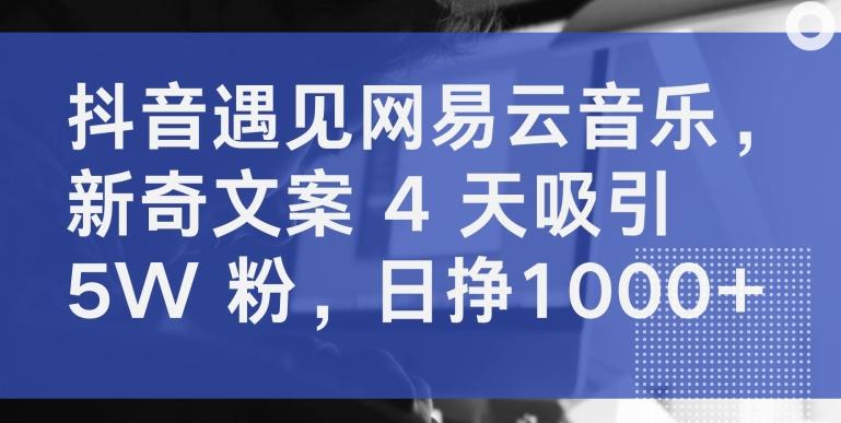 抖音遇见网易云音乐，新奇文案 4 天吸引 5W 粉，日挣1000+【揭秘】-瀚宇网创