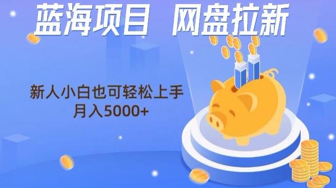 蓝海项目网盘拉新,新人小白也可操作,每月收入5000+-瀚宇网创