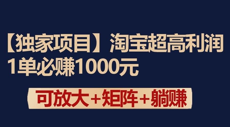 独家淘宝超高利润项目:1单必赚1000元,可放大可矩阵操作-瀚宇网创
