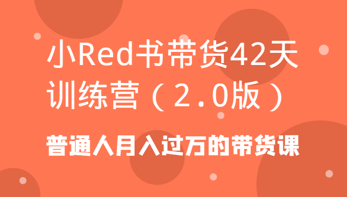 小Red书带货42天训练营(2.0版)普通人月入过万的带货课-瀚宇网创