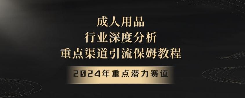 2024年重点潜力赛道，成人用品行业深度分析，重点渠道引流保姆教程【揭秘】-瀚宇网创