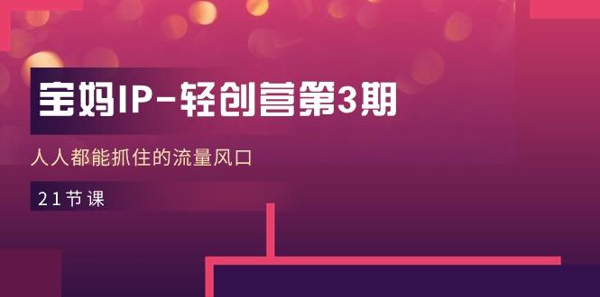 宝妈IP-轻创营第3期，人人都能抓住的流量风口(21节课-瀚宇网创