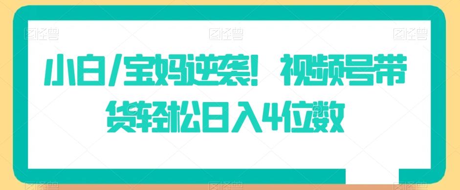 小白/宝妈逆袭!视频号带货轻松日入4位数【揭秘】-瀚宇网创