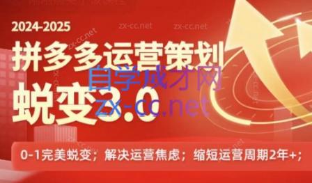 大力老师·2024拼多多运营策略蜕变3.0-瀚宇网创
