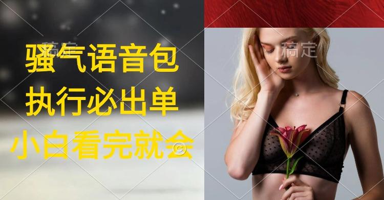 (9589期)执行就出单，日入2000+，超火骚气语音包，小白看完课程就能马上实操-瀚宇网创