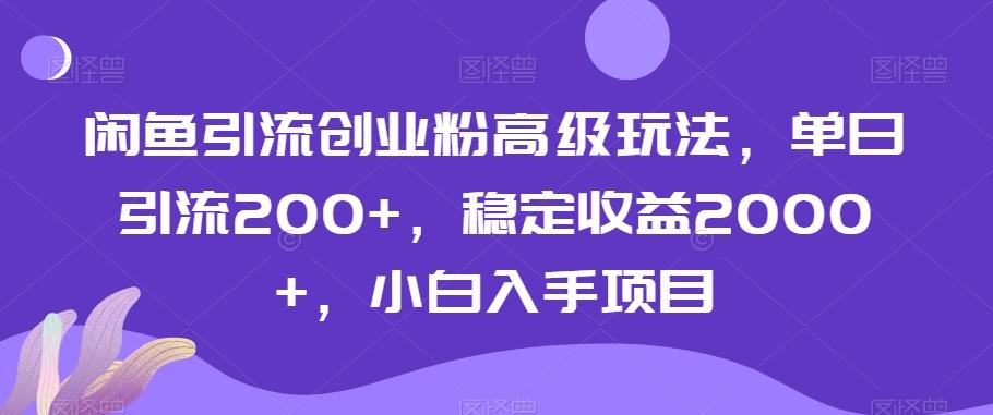 闲鱼引流创业粉高级玩法，单日引流200+，稳定收益2000+，小白入手项目-瀚宇网创