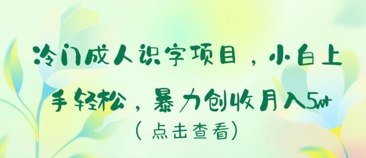 冷门成人识字项目，小白上手轻松，暴力创收月入5w+【揭秘】-瀚宇网创