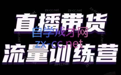 婉婉·直播带货课程系列合集(更新8月)-瀚宇网创