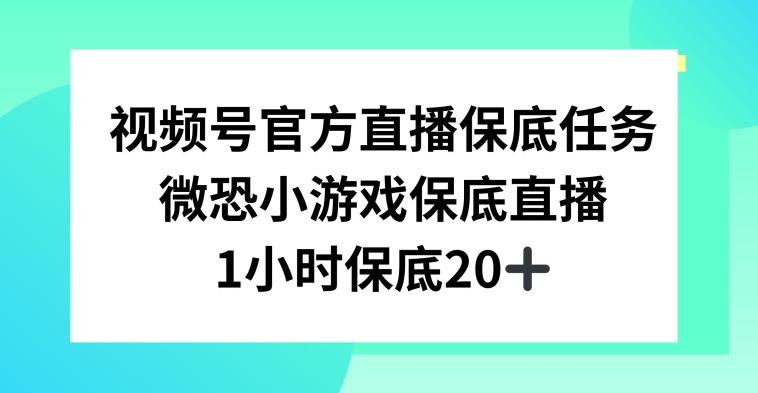 视频号直播任务，微恐小游戏，1小时20+【揭秘】-瀚宇网创