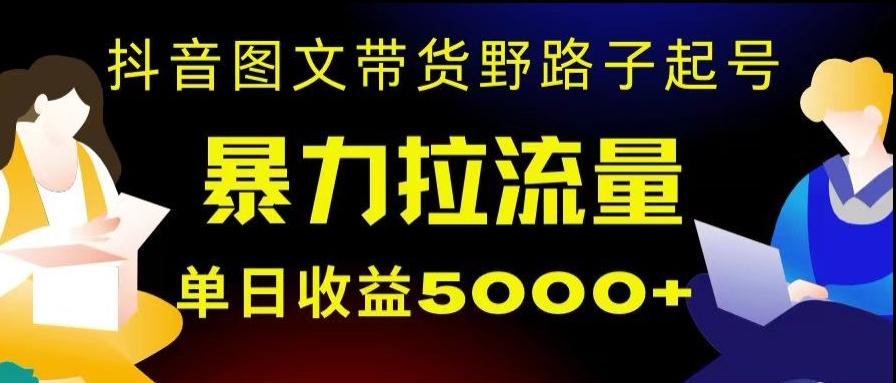 抖音图文带货暴力起号,单日收益5000+,野路子玩法,简单易上手,一部手机即可【揭秘】