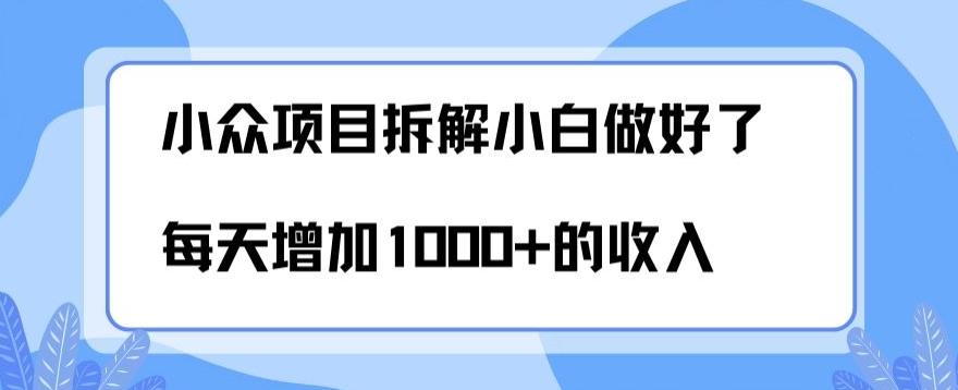 小众项目拆解,小白做好了每天可增加1000多的收入-瀚宇网创