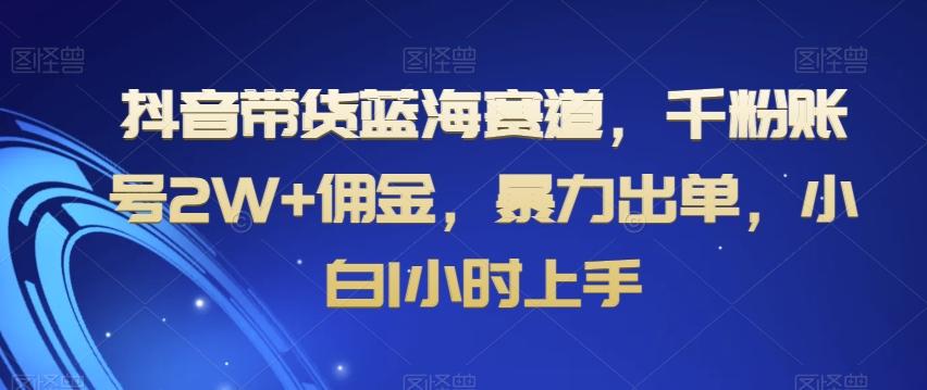 抖音带货蓝海赛道，千粉账号2W+佣金，暴力出单，小白1小时上手【揭秘】-瀚宇网创