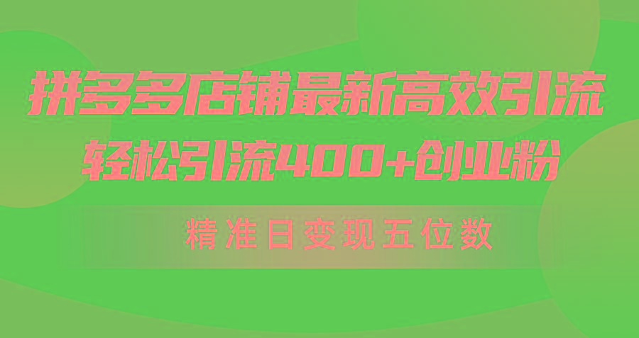 (10041期)拼多多店铺最新高效引流术，轻松引流400+创业粉，精准日变现五位数！-瀚宇网创