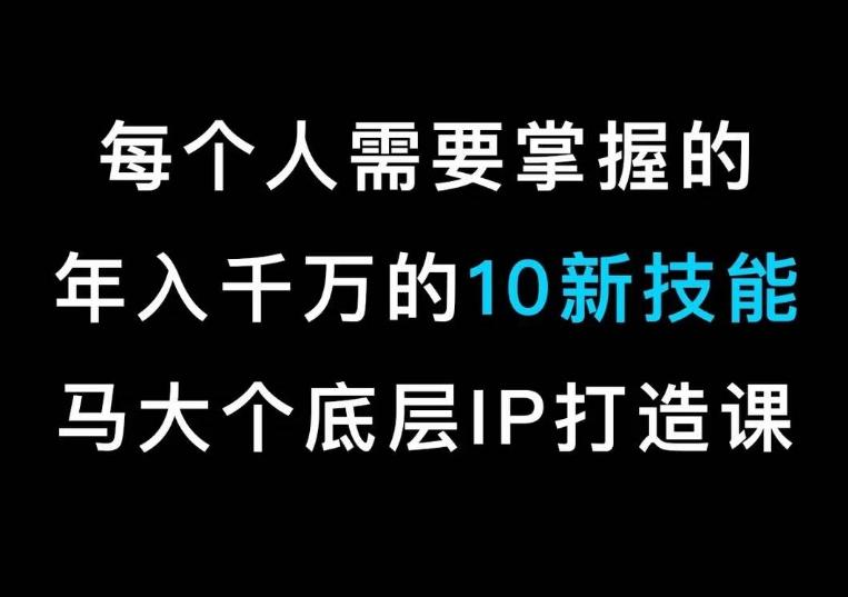 马大个的IP底层逻辑课，​每个人需要掌握的年入千万的10新技能，约会底层IP打造方法！-瀚宇网创