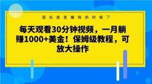 每天观看30分钟视频，一月躺赚1000+美金！保姆级教程，可放大操作【揭秘】-瀚宇网创