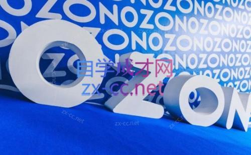 森哥·出海俄罗斯电商实操(2024)-瀚宇网创