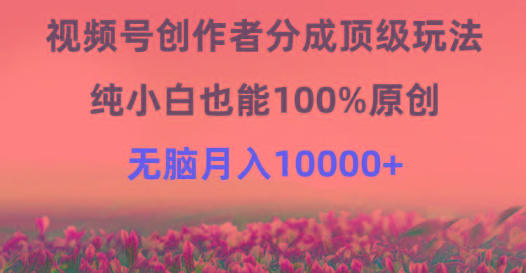 (9608期)视频号创作者分成顶级玩法，纯小白也能100%原创，无脑月入10000+-瀚宇网创