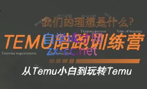 苗苗·拼多多跨境(temu)课程-瀚宇网创