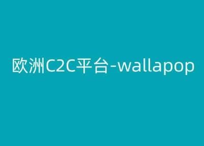 欧洲C2C平台-wallapop-kim跨境电商教程-瀚宇网创