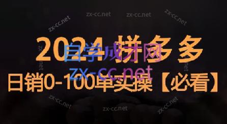 恒哥·2024拼多多日销0-100单实操-瀚宇网创